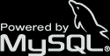 Running on mySQL 8.0.41-32